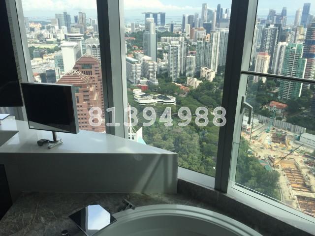 The Orchard Residences (D9), Apartment #133360882